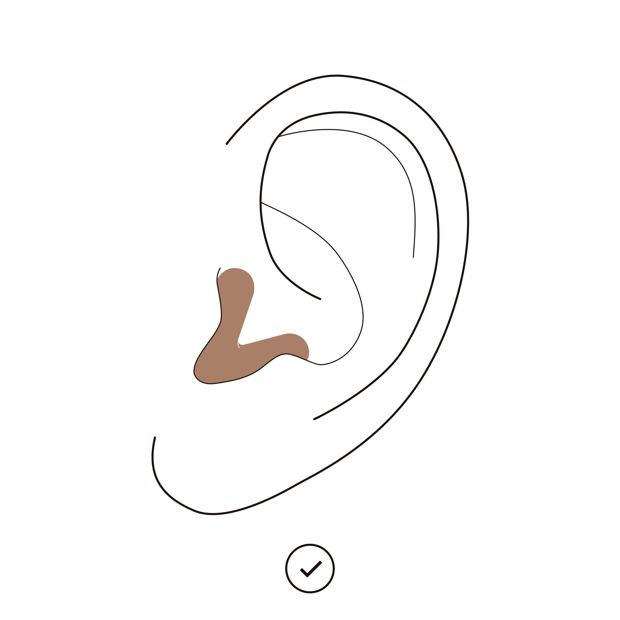 Benutzungserklaerung Schritt 2 Ohr Animation mit Alpine Tune